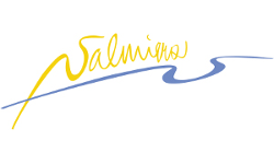 LogoValmiera City Council